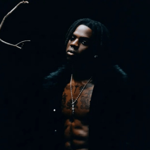 Nigerian artists