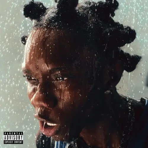 Blaqbonez