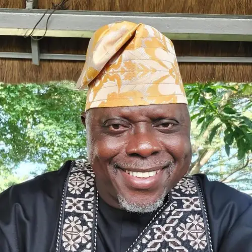 Dele Odule