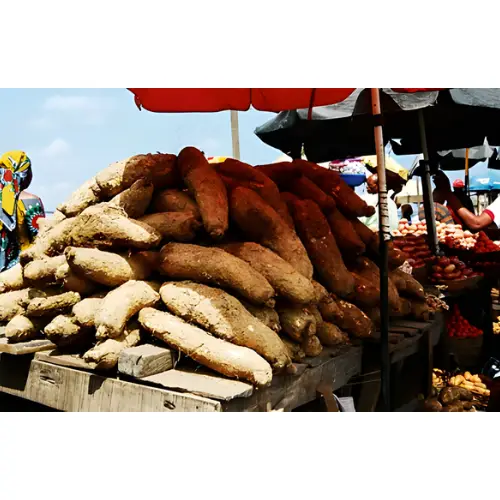 Food Inflation