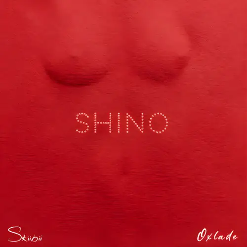 Skiibii