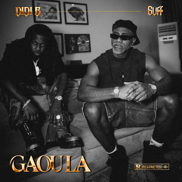 Didi B, 6uff - Gaou la cover art