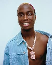 TML Vibez, Nigerian Afrobeats and street-pop artist