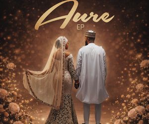 Danmusa New Prince - Aure cover art