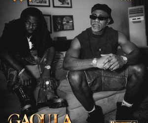 Didi B, 6uff - Gaou la cover art